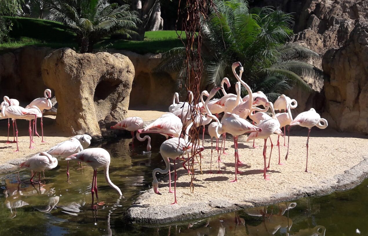 Make zoos a better place