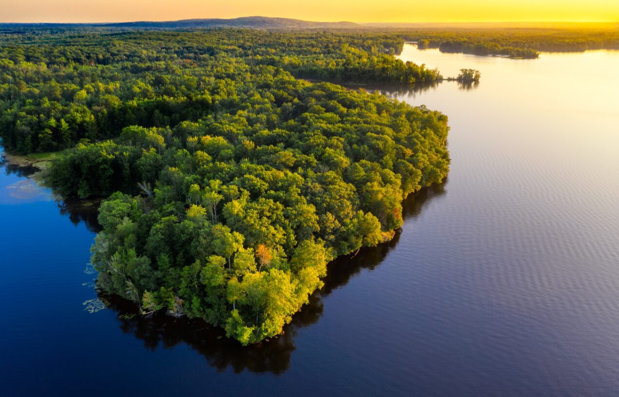 Why is nobody screaming when humans destroy the Amazon?