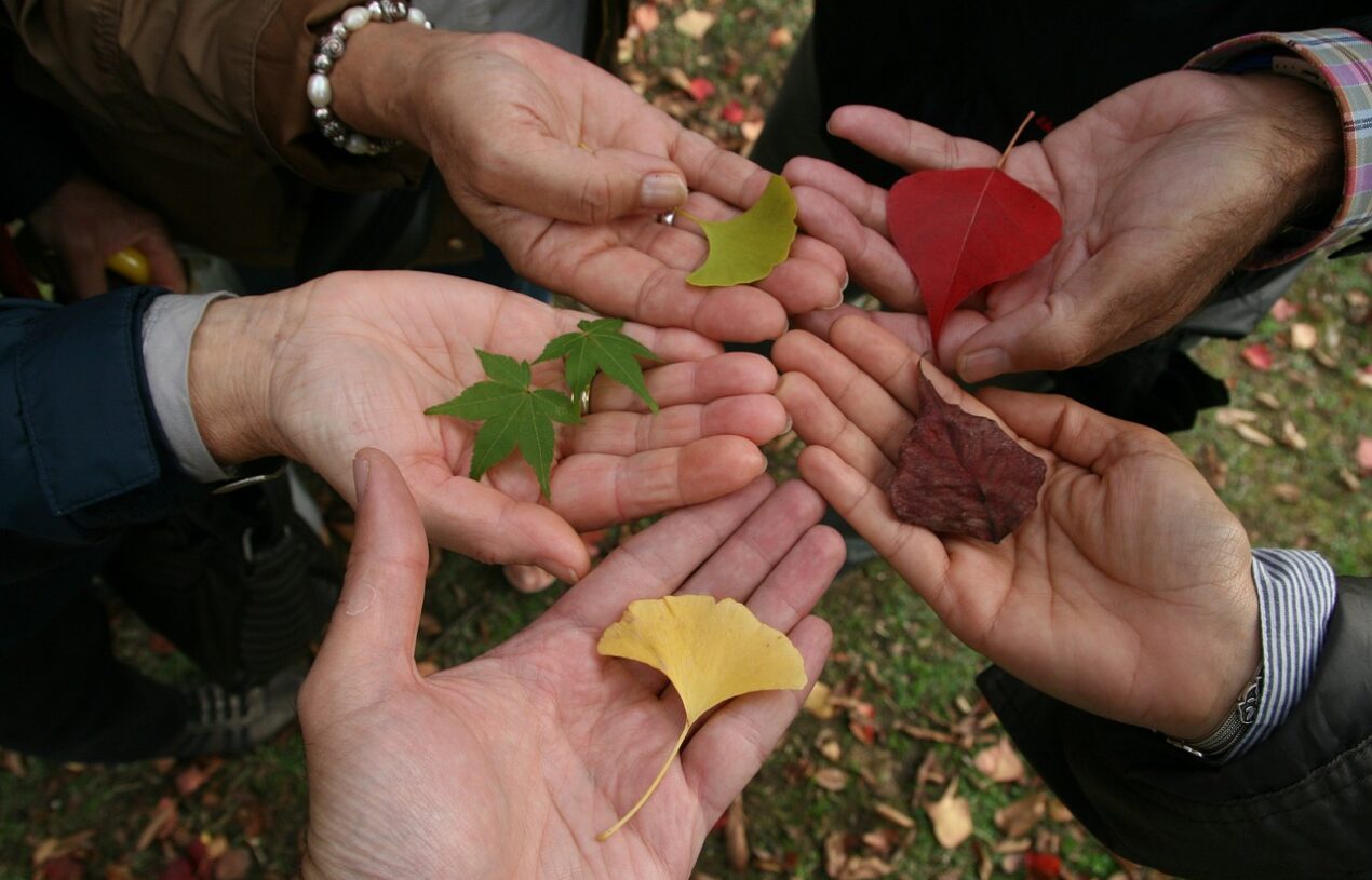 Tolerance and social welfare
