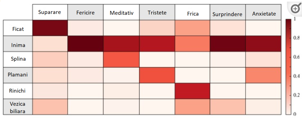 Legătura dintre emoții si sistemele viscerale
Tabel din studiul publicat de Evid Based Complement Alternat Med