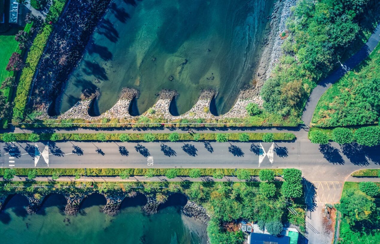 🌿 91 de proiecte finanțate de UE pentru un viitor mai verde! 🌍